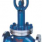 Cryogenic Globe Valve