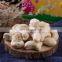 organic cashews kernels with w240 w320 w450 for sale