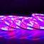 New Arrivals 5050RGB Led Pixel Neon Flex Colorful Flexible Silicone Neon Strip Outdoor Landscape Led Neon Light Flexible Led Strip