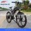 25015 best popular electric bike 36v elctric bike with li ion battery