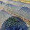 Hot Sell Black Shade Net for Agriculture