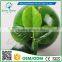 Greenflower 2016 Wholesale Form fruit watermalon China Home resturuante decor