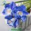 2016 Wholesale Multicolor Latex Artificial PU Flowers Narcissus Real Touch Bouquet Wedding Bridal Decor Display Flower