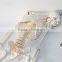 Medical standard human skeleton model skeleton teaching model 85CM skeleton can be bent