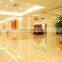Die Casting led down light led light CE Rohs downlight led light