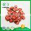 Dehydrated Natural Low Calorie Freeze Dried Strawberry