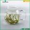 360ml Borosilicate Clear Glass Tea Pot With Handle