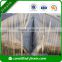 UV treated greenhouses nonwoven fabric in agriculture for gardern,vegetable