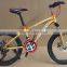 20-inch mountain bike 21 speed dual disc high carbon steel students bike