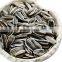 230~300pcs Sunflower Seeds 363 ,5009