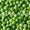 New Crop 2015 Frozen Green Peas