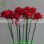 Lighted Red rose led flower light