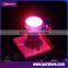 Mini Grow Light 10w Hydroponic Led Grow Light E27 E26