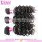 Loose Curly Hair Extension For Black Women 7a Grade 100% Virgin Malaysian Loose Curly Human Hair Extension