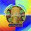 Dot-matrix hologram label stickers with custom design
