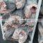 wholesale sword fish sea frozen swordfish HGT