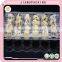 24 holes disposable clear plastic quail egg tray