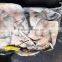 Frozen Sting Ray Fish From China