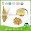 100% natural benefits of wheat germ oil carrier oil