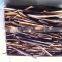 Cassia split best quality