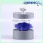 10cm single Pure color rose in box,13.5cm height,15cm diameters,real natural preserved roses for gifts