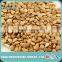 Raw Apricot Kernel Seeds