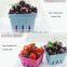 Good Quality Environmental protection paper pulp berry basket