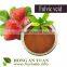 Producing a Range of Humic And Fulvic Acids,water Soluble Features Humic And Fulvic Acids