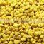 China Factory 100% Grade A Mixed Rape BeePollen Supplier