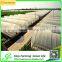 Hot Sale Low Cost Single-span Plastic Greenhouse for Agriculture