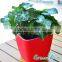 Whole large square fashion plastic garden balcony flower pots