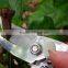Steel pruning tools garden hand prunner