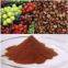 Grape seed Extract