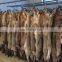 High quality real coyote fur wholesale natural coyote fur