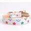 Classic Retro Pet Collar Dog Leash Cat Training Pulling Rope Pet Neck Chain Pet Supplies