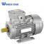 3ph electric motor