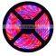 DC12V 300LEDS 5Meters Per Roll Red:Blue 3:1,4:1,5:1 Led Grow Strip Tube Light