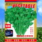 500g Good price vegetable parsley seeds dhania cilantro chinese coriander seeds for planting