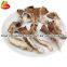 High Quality Dried Oyster Mushrooms Wholesale Price