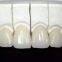 All-Ceramic FDA 3014652903 Zirconia Dental Crown Veneer Inlay Onlay