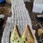 combine harvester knife section grass cutter blade JD parts