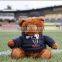 53 plush teddy bear custom plush toy/plush brown bear toy/soft plush brown bear toy