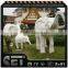 Fiberglass animal life size horse statue