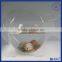 Yageli 2016 new products crystal acrylic tiny fish tank