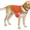 Dog Safety Jacket