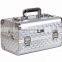 Case Type and Professional Aluminum Nail Tool Box with Tray
