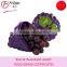 Food Grade Plastic Grape Keeper Container, Purple