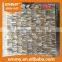 beauty natural dream color freshwater shell teeth mosaic wall tile seller