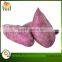 Exporter Supply Yummy Fresh Purple Sweet Potato