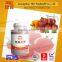 Unique made by professional manufacturer 3kg wholesale ketchup brand